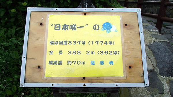 国道３３９号線の階段国道